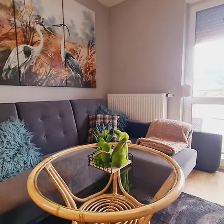 31 Z Sauna Rowery, Spacery W Dolinie Baryczy - 5d *